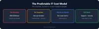 The Predictable IT Cost Model